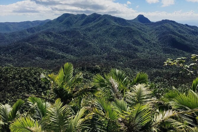 El Yunque Rainforest Waterslides and Luquillo Beach w/ Transport - Key things to know before you go
