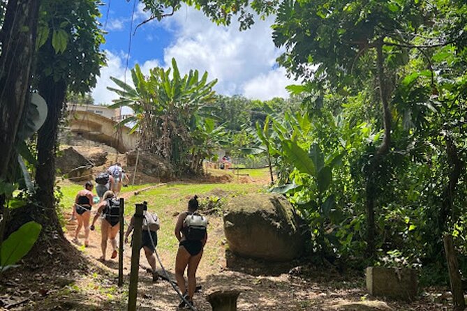El Yunque Waterslide and Waterfall Tour with Food and Photos - From San Juan to El Yunque: how the day starts