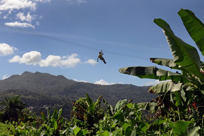 El Yunque Ziplining in Puerto Rico - Key Things You Will Notice Right Away