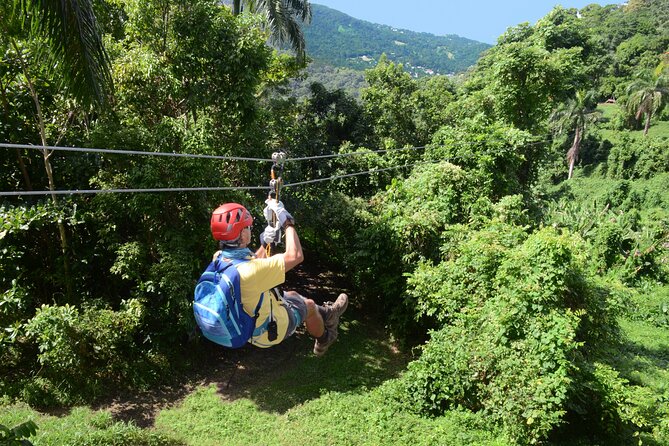 El Yunque Ziplining in Puerto Rico - Five Scenic Ziplines Plus a Canopy Bridge: The Main Event
