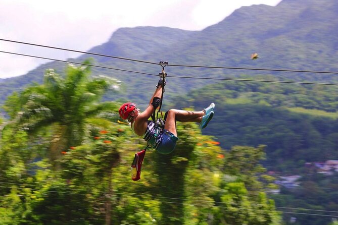 El Yunque Ziplining in Puerto Rico - Price and Value for a Two-Hour Rainforest Adventure