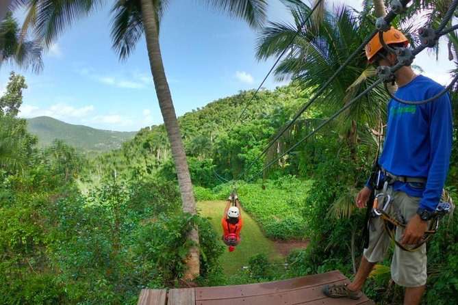 El Yunque Ziplining in Puerto Rico - Location, Getting There, and Why the Private Drive Matters