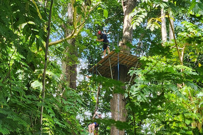 El Yunque Ziplining with River and Beach Visit - The short nature walk to a natural pool (weather permitting)