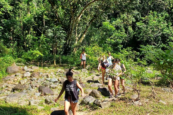 El Yunque Ziplining with River and Beach Visit - Junglequi Zipline Park: harness on, carbon-fiber lines, then rappels