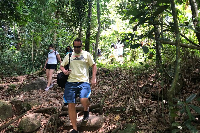 Epic Guided Adventure in El Yunque National Rainforest & Beach - The Role of Your Guide: Jose, Vincent, and the Safety Culture