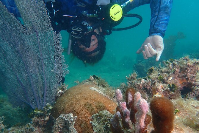 Experience Scuba Diving / NO certification Needed - First-time scuba in Rincon, minus the full-course commitment
