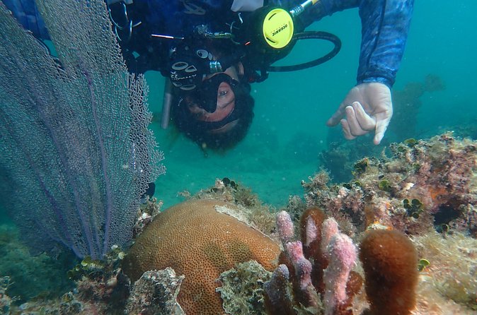 Experience Scuba Diving / NO certification Needed - Weather rules and the flight timing gotcha