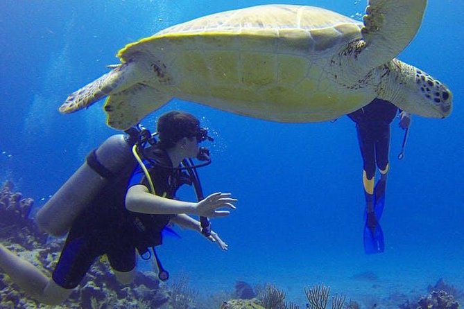 Experience Scuba Diving / NO certification Needed - How the 2.5 hours typically flow, from pavilion briefing to water time