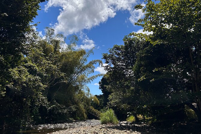 Explore El Yunque: Hiking, Swings & Waterslide (Small Group) - Pool stop one: swim time, rope swing thrills, and cliff jumps