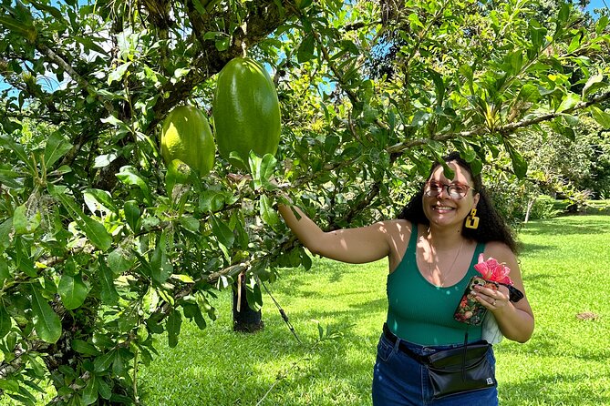 Explore Indigenous Roots, Experience a day in the life of a Taíno - Tips to help you get the most from the day