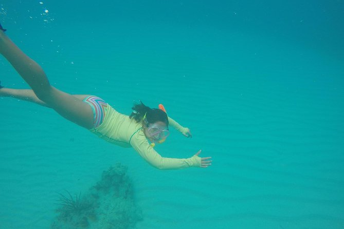 Fajardo Afternoon Snorkeling Adventure Tour - Safety on This Tour Is a Selling Point, Not a Fine Print