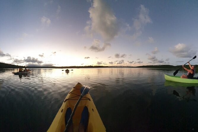 Fajardo Bioluminescent Bay Night Kayak Adventure from San Juan - The kayak village setup, gear, and the safety rules you cannot ignore