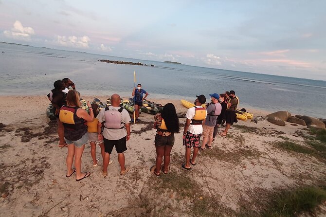 Fajardo Bioluminescent Bay Night Kayak Adventure from San Juan - Crowds on a narrow canal: how the group size affects your night