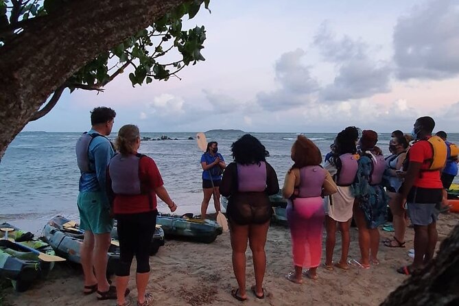 Fajardo Bioluminescent Bay Night Kayak Adventure from San Juan - Price and value at $109: when it is worth it, and when it can feel steep