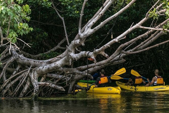 Fajardo Bioluminescent Bay Night Kayak Adventure from San Juan - Kayaking the mangrove maze in pitch dark: what it feels like