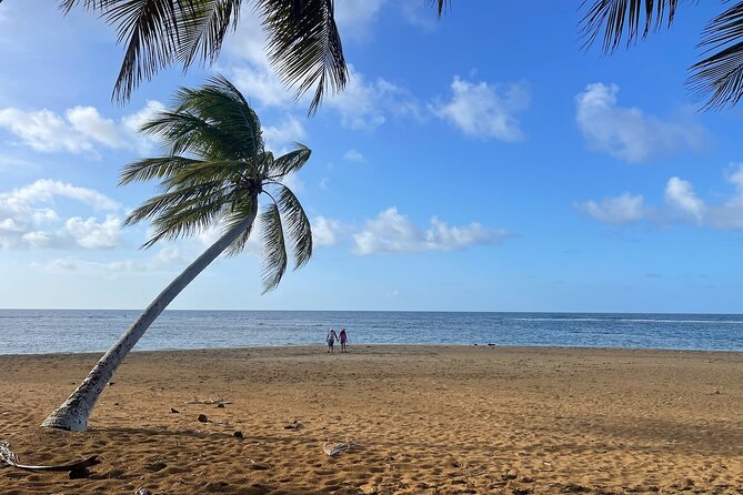Fajardo Ceiba Ferry Marina Taxi to San Juan Taxi Transportation - Timing: why 15 minutes to 1 hour changes how you plan