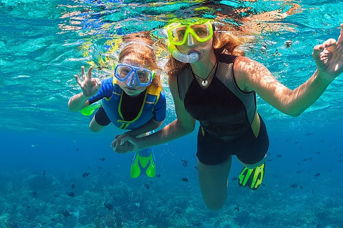 Fajardo, Puerto Rico: Morning Snorkeling Beach Tour - What the tour includes, and why it matters