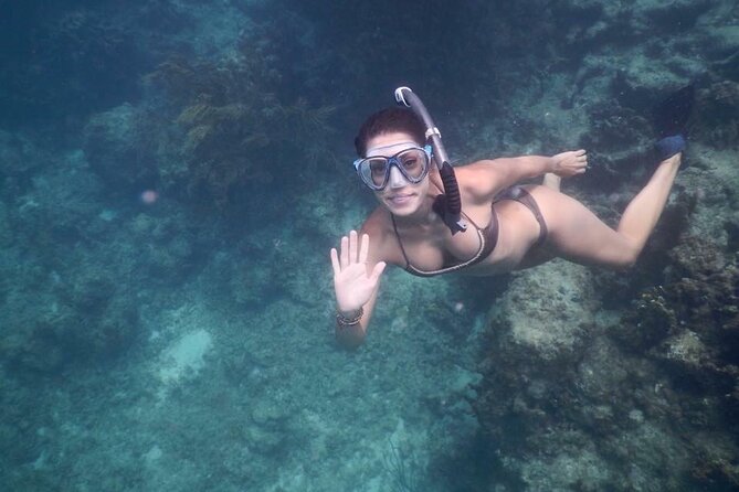 Fajardo, Puerto Rico: Morning Snorkeling Beach Tour - Stop 1: First reef snorkeling for real underwater variety