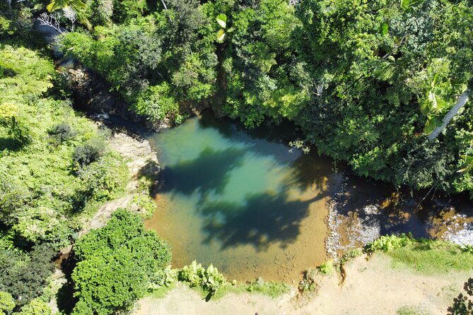 Famous Guavate Pork Road & Charco Azul Food & River Tour - Guavate Pig Road: where lechoneras turn food into the main event