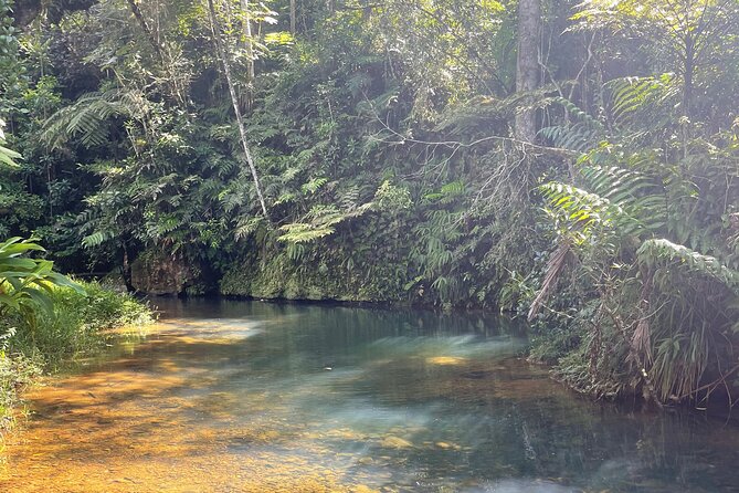 Famous Guavate Pork Road & Charco Azul Food & River Tour - What you get included for $110, and what you should budget extra