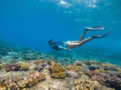Boat and Snorkeling in Culebra Island with All-Inclusive