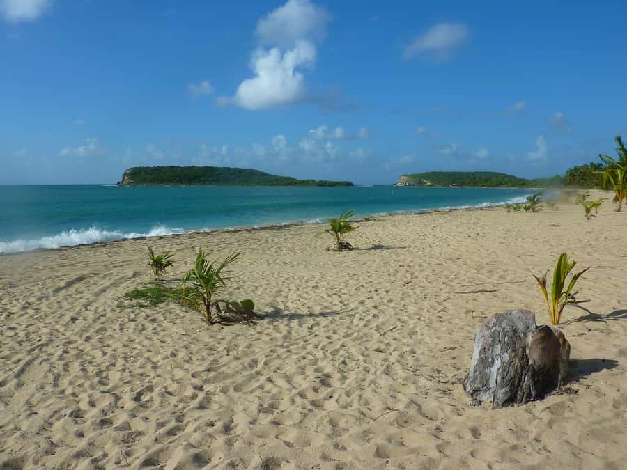 From Fajardo: Boat and Snorkeling in Culebra Island with All-Inclusive - Price and Logistics: What $169 Includes, and What Costs Extra