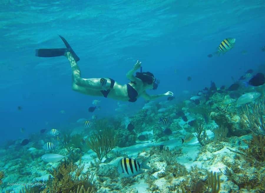 From Fajardo: Boat and Snorkeling in Culebra Island with All-Inclusive - Who This Tour Fits Best, and Who Should Skip It