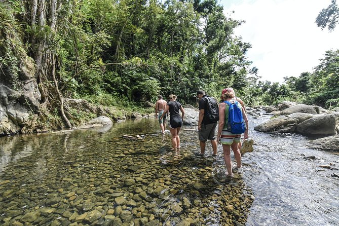 From San Juan: El Yunque Rainforest Hiking Adventure - The 8-Hour Schedule, Broken Down So You Can Plan Your Day