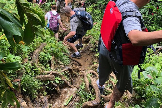 From San Juan: El Yunque Rainforest Hiking Adventure - Lunch Stop and How to Handle Food Like a Pro