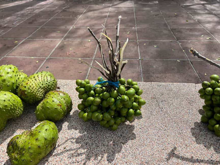 From San Juan: Full-Day Cultural Road Trip to Ponce - Guavate, the pork highway, and how to plan your food time