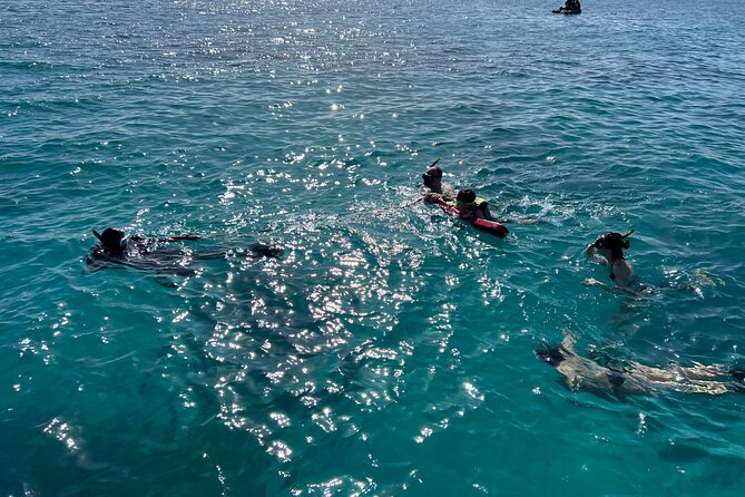 Full Charter All Inclusive for Icacos and Palomino - Isla Palomino: the second beach stop after you are fed