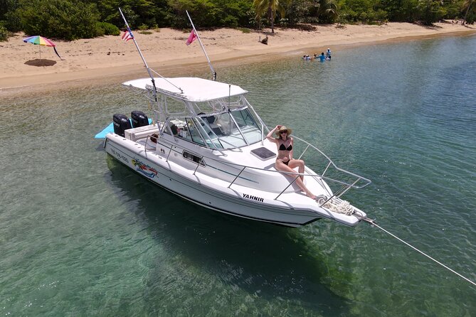 Full Day Charter from Fajardo to Culebra - Price and Logistics: What You’re Really Paying For