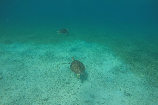 Full Day Charter from Fajardo to Culebra - Tamarindo Beach and Beach Setup: When You Want Down Time