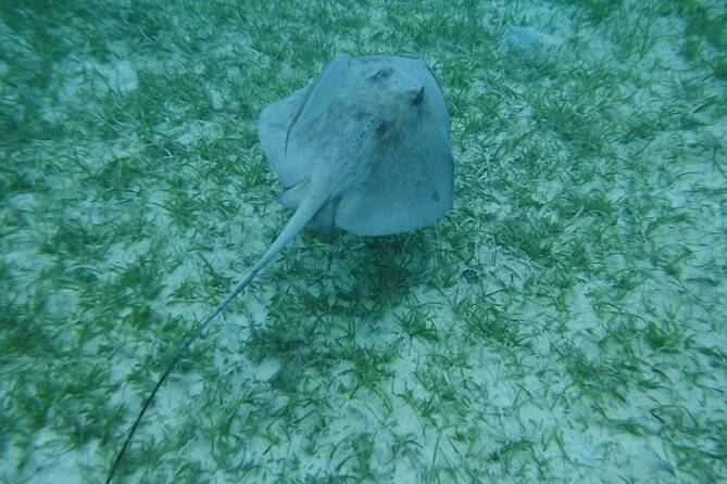 Full Day Charter from Fajardo to Culebra - The Crew Makes It Feel Private, Not Just Exclusive