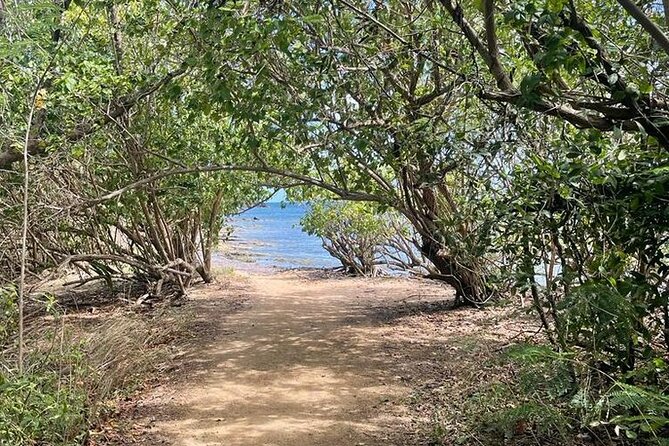 Full Day Eastern Island Tour - Why this eastern Puerto Rico route feels like more than one stop