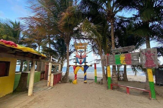 Full Day Eastern Island Tour - Stop 4: Loíza for Afro-Puerto Rican art, music, dance, and food