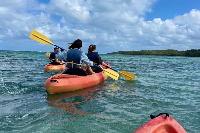 Full-Day Kayak Adventure - Explore Fajardo’s Crystal-Clear Waters - Wildlife time, at the speed of your group