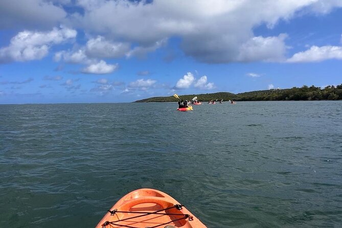 Full-Day Kayak Adventure - Explore Fajardo’s Crystal-Clear Waters - Who this kayak rental is perfect for