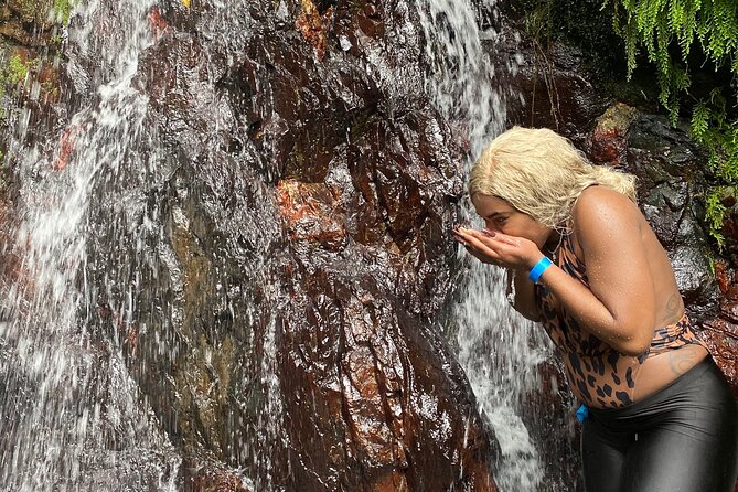 Full-Day Private Tour to Tinajas Waterfalls in El Yunque - Key Points Worth Filing Away