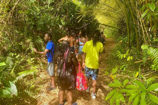 Full-Day Private Tour to Tinajas Waterfalls in El Yunque - Rainforest Time With a Purpose: Flora, Fauna, and Puerto Rico Context