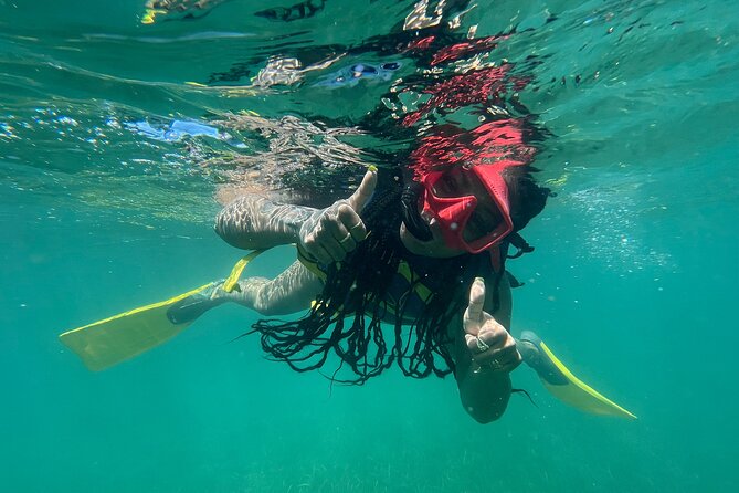 Full-Day Snorkeling Gear Rental in Puerto Rico - Cabezas de San Juan from Fajardo: what you’re really paying for