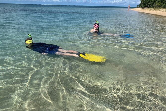 Full-Day Snorkeling Gear Rental in Puerto Rico - Your self-guided snorkeling block: map, tips, and gear that makes sense