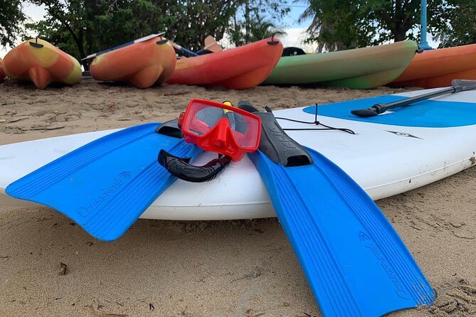 Full-Day Snorkeling Gear Rental in Puerto Rico - Marine life expectations, including the Seven Seas size issue