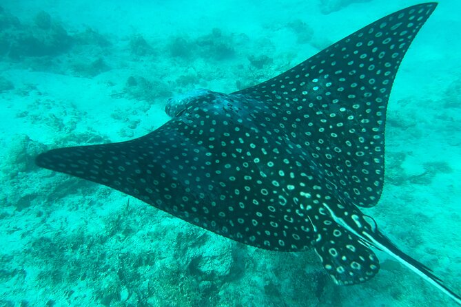 Full-Day Snorkeling Gear Rental in Puerto Rico - How long should you rent: 1 to 9 hours made practical