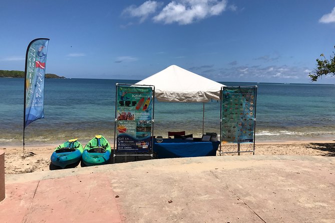 Full-Day Snorkeling Gear Rental in Puerto Rico - Who this fits best (and who should skip it)