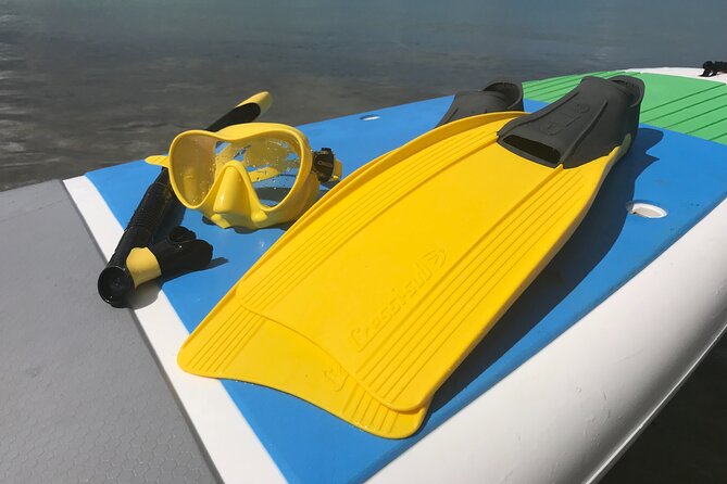 Full-Day Snorkeling Gear Rental in Puerto Rico - Meeting at Pirate Snorkeling Shack: how to time your day