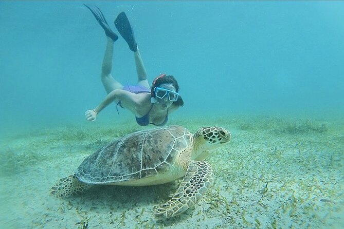 Full-Day Snorkeling Tour to Culebra Island with Lunch - Why Flamenco and Culebra make sense for beginner snorkeling