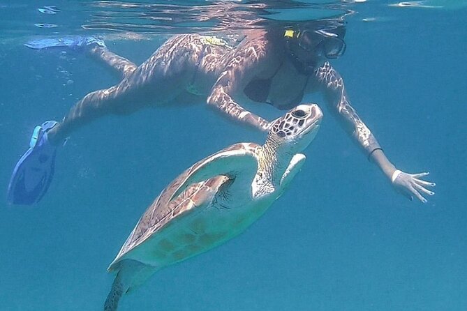 Full-Day Snorkeling Tour to Culebra Island with Lunch - Paddleboards on Culebra: a great option between sand and snorkeling