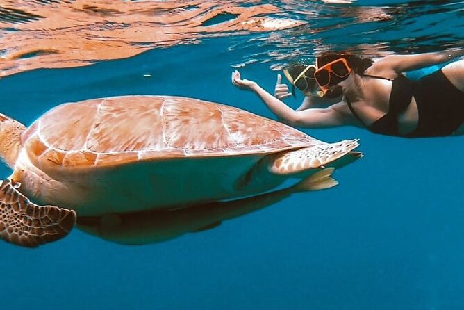 Full-Day Snorkeling Tour to Culebra Island with Lunch - Price and value at $168.37: what you are paying for