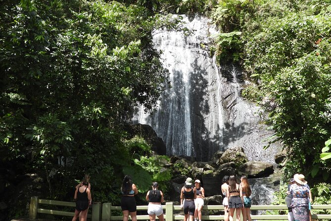 Full-Day Tour: El Yunque, Luquillo Beach, Bio Bay Night Kayaking - A Perfect Trio Day: El Yunque, Luquillo, and Biobay Kayaking in One Shot